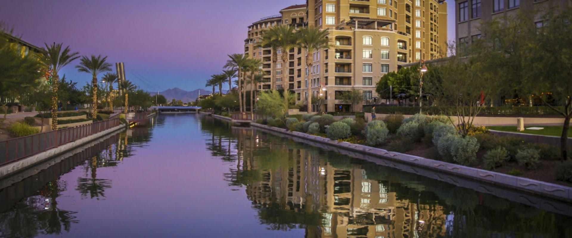 Where to Find the Best Pet-Friendly Bars in Scottsdale, AZ