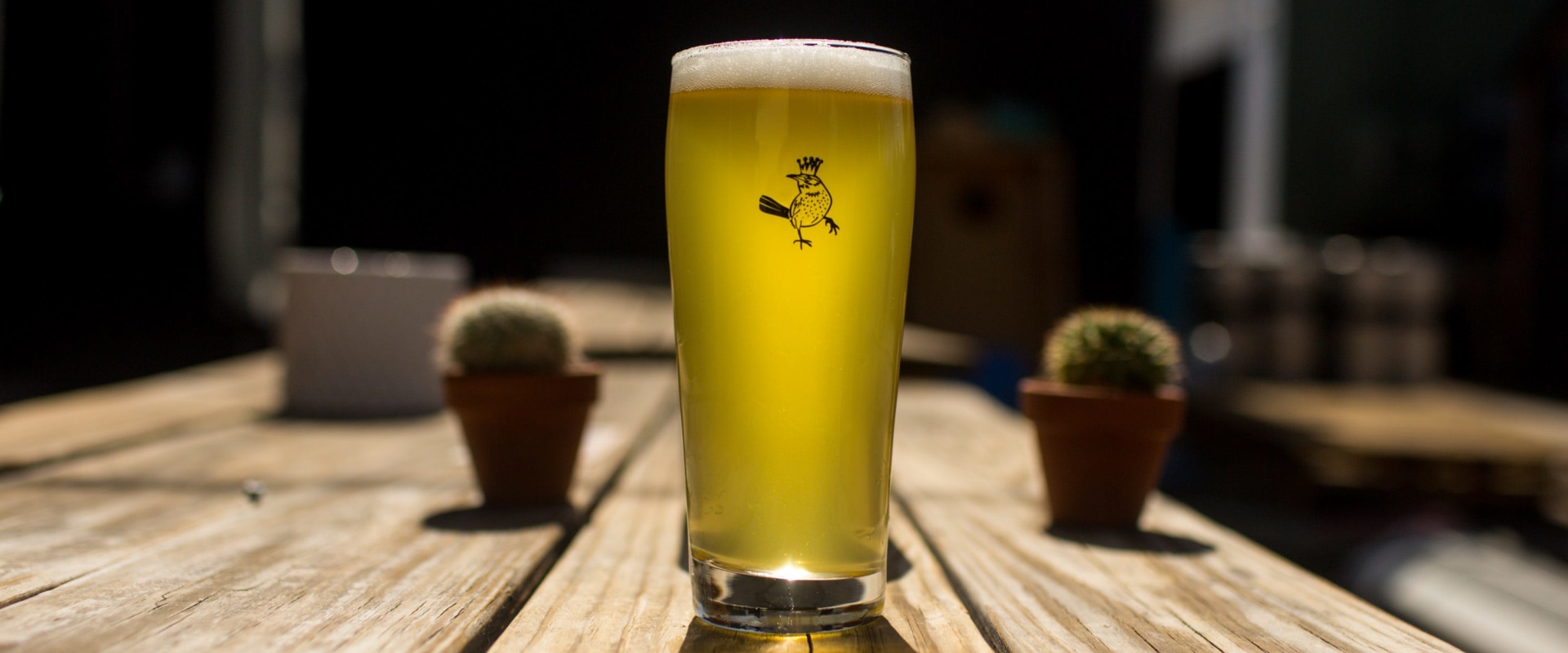The Best Craft Beer Bar in Scottsdale, AZ - Scapegoat Beer and Wine Bar